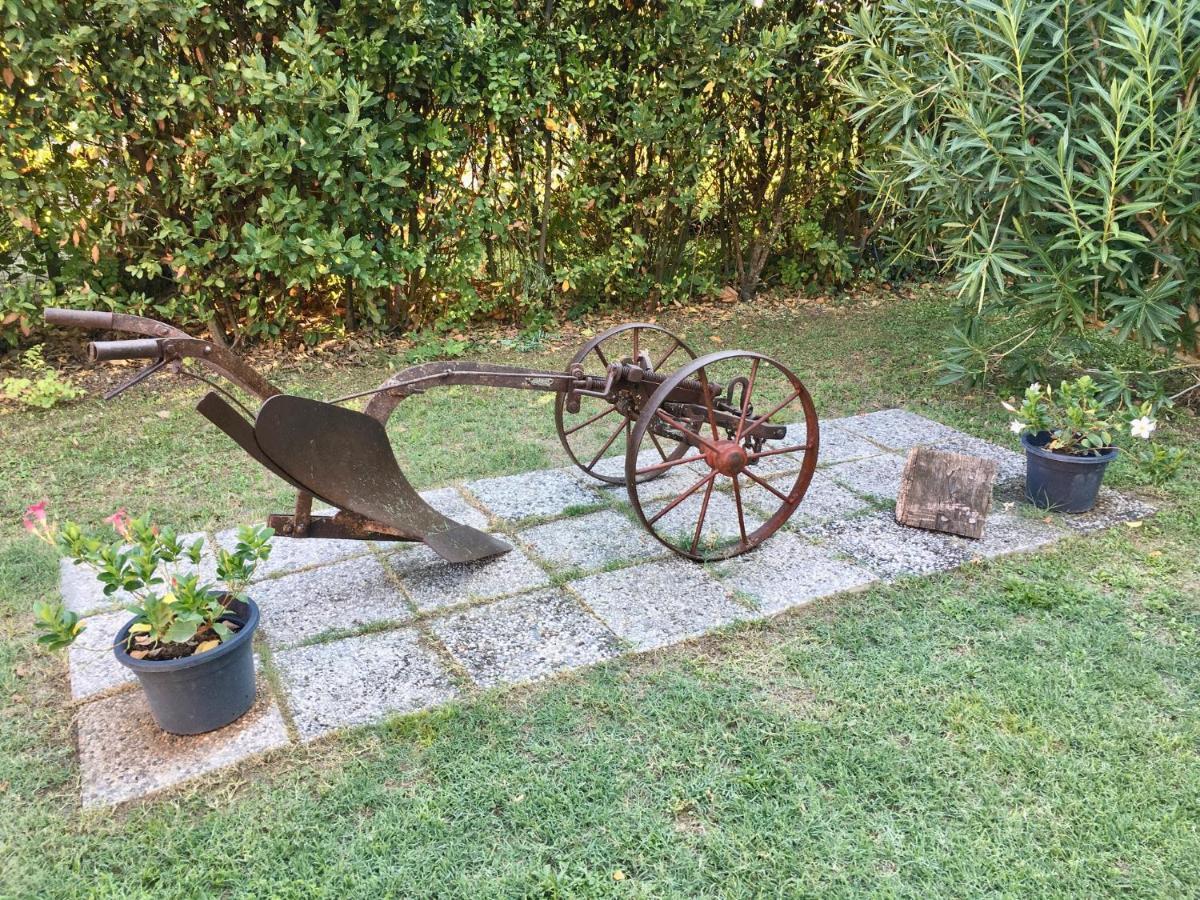 Societa Agricola Le More Agriturismo La Dondina 부드리오 외부 사진