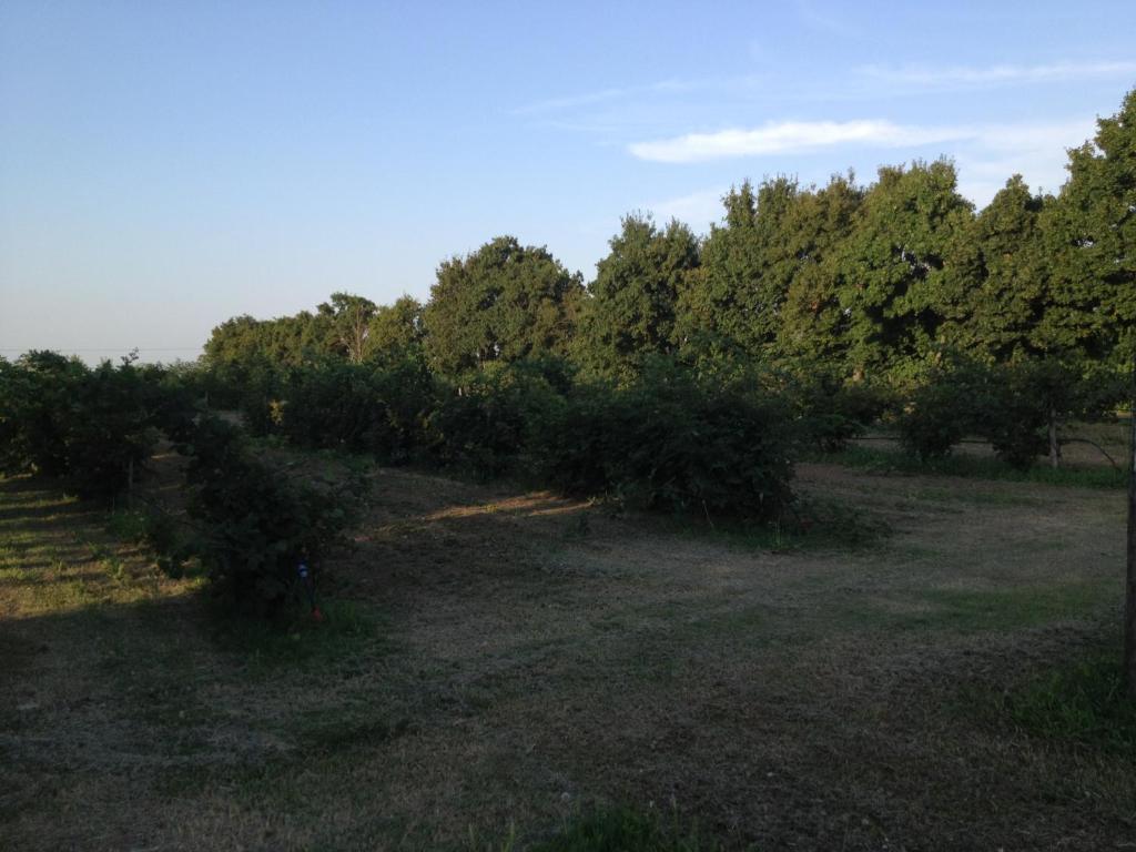 Societa Agricola Le More Agriturismo La Dondina 부드리오 외부 사진