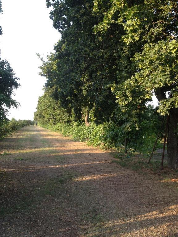 Societa Agricola Le More Agriturismo La Dondina 부드리오 외부 사진